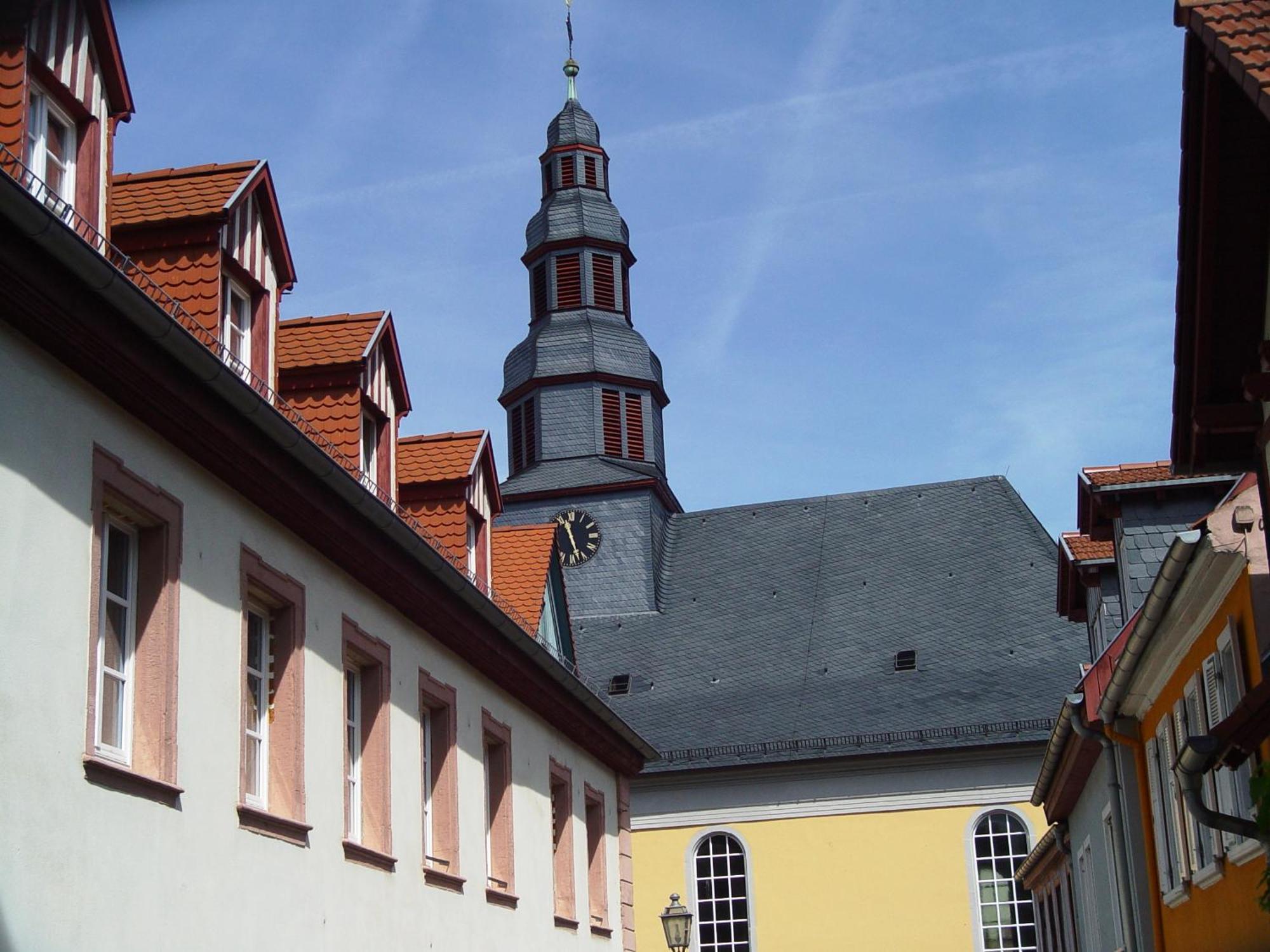 2 Zimmer Wohnung, Kueche, Bad, Balkon, Netflix Alzey Eksteriør billede