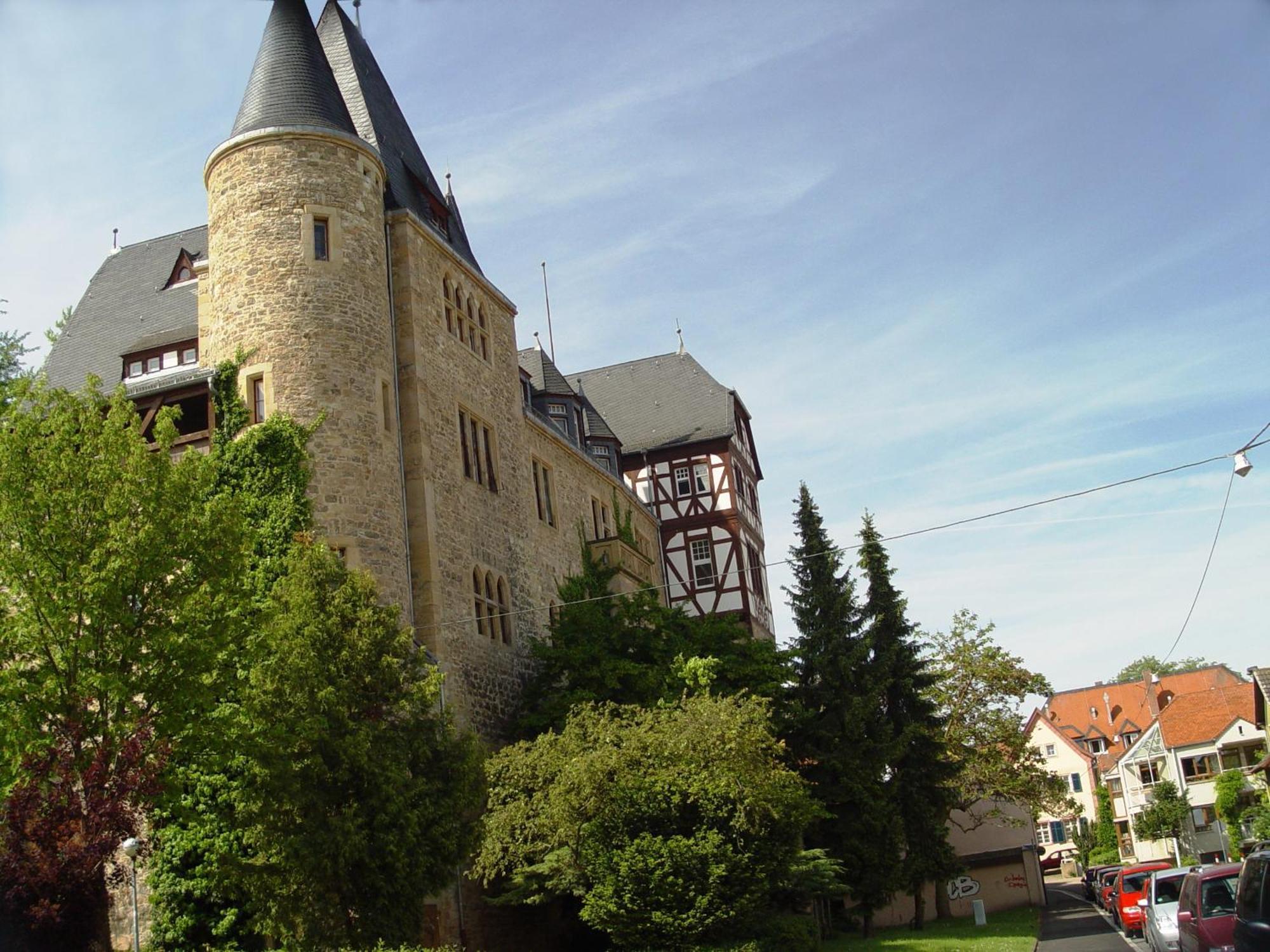2 Zimmer Wohnung, Kueche, Bad, Balkon, Netflix Alzey Eksteriør billede